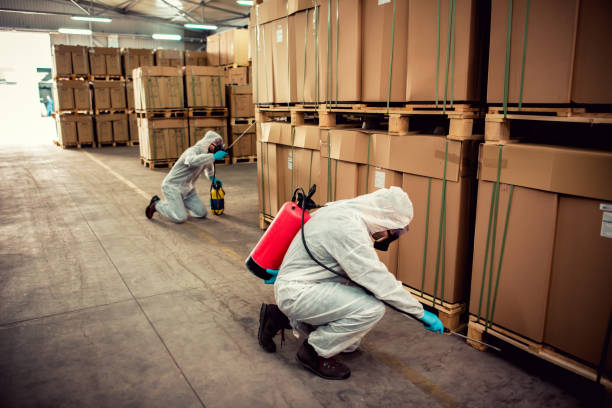 Best Pest Inspection Near Me  in Prairie Creek, AR