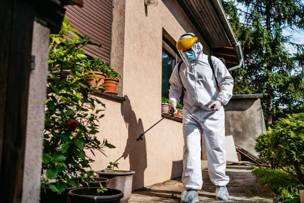 Best Bed Bug Extermination  in Prairie Creek, AR