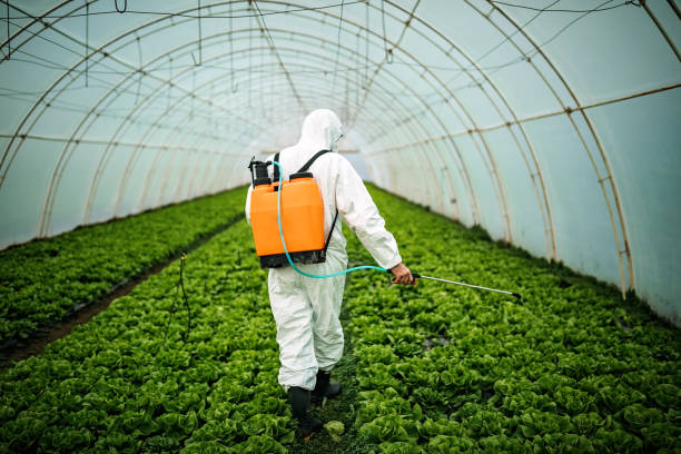 Trusted Prairie Creek, AR Pest Control Experts