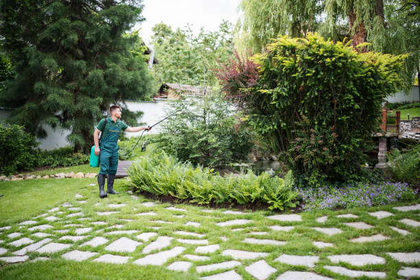 Best Local Pest Control Services  in Prairie Creek, AR