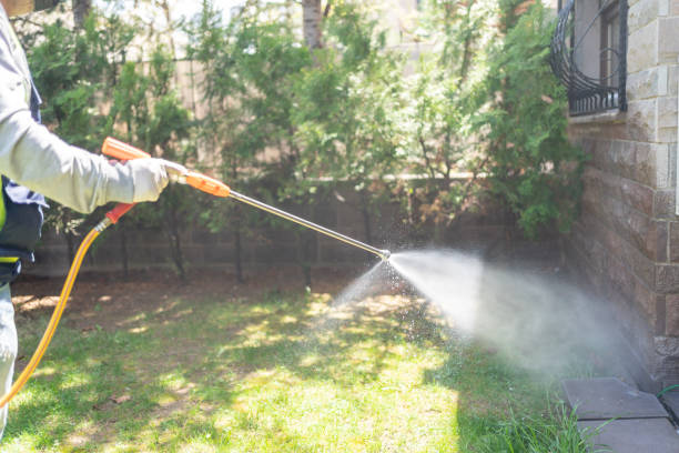 Best Affordable Pest Control Services  in Prairie Creek, AR