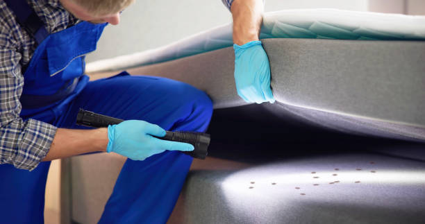 Best Flea Control Services  in Prairie Creek, AR