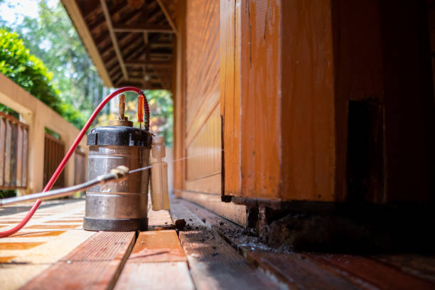 Best Mosquito Control Services  in Prairie Creek, AR