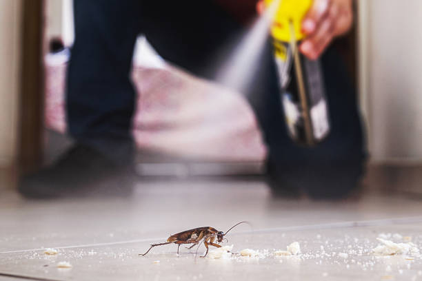 Pest Control for Restaurants in Prairie Creek, AR