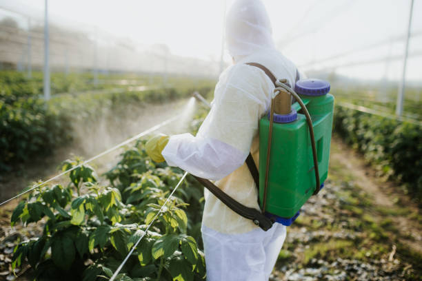 Best Best Pest Control Companies  in Prairie Creek, AR